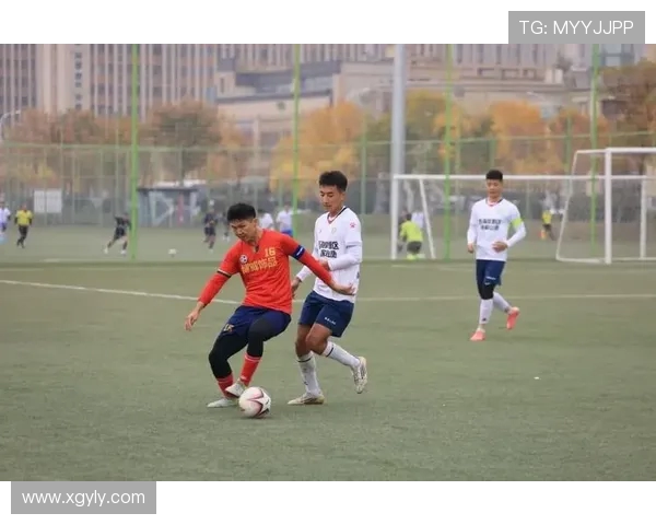 绿茵逐梦激情碰撞世界强队共谱足球荣耀盛宴